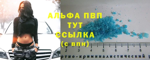 эйфоретик Елизово