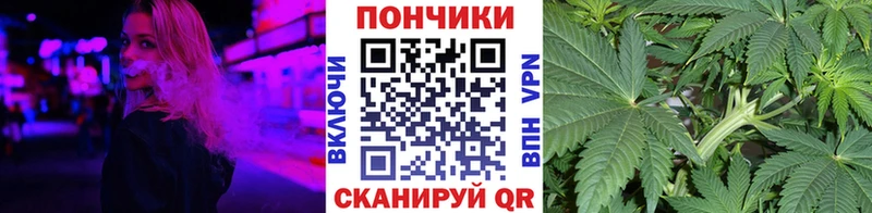 Конопля AK-47  Купить где  Тотьма 